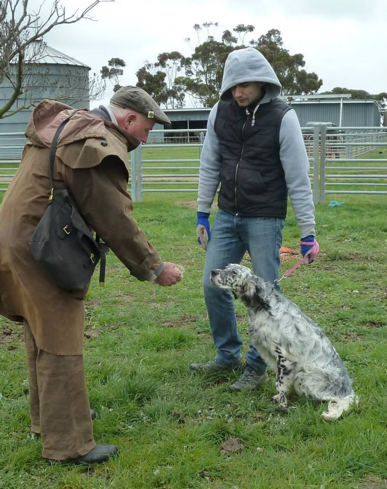 11951127_822395394548562_2977634602672334665_n