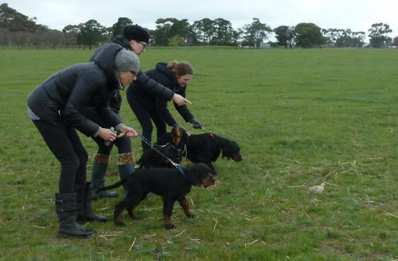 11953019_822396281215140_4380389680415152905_n