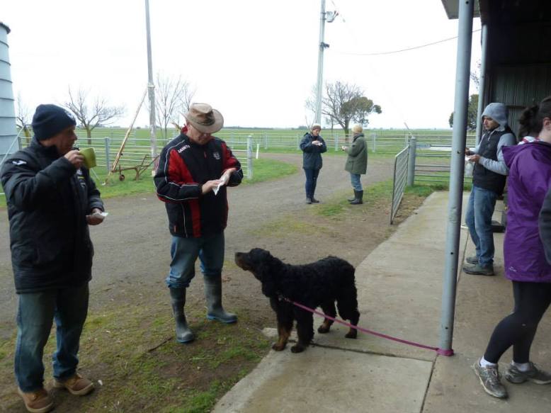 11953019_822396811215087_6598064656874883466_n