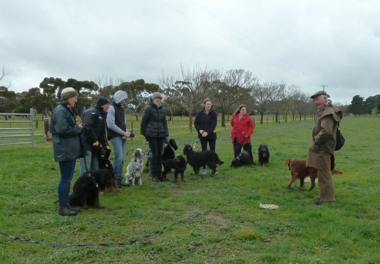 11953135_822395214548580_2590226505686508339_n