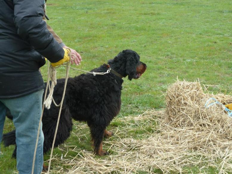 11953172_822395764548525_8273908829221445123_n