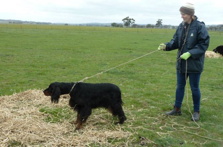 11960279_822397264548375_6227226369694211853_n