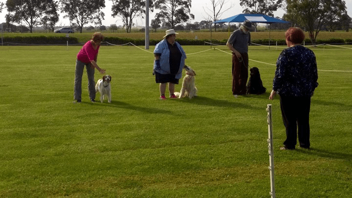 facebook-20151012-125114