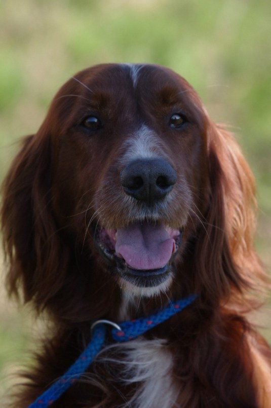 gscv fld trl 1. 16-05-2015