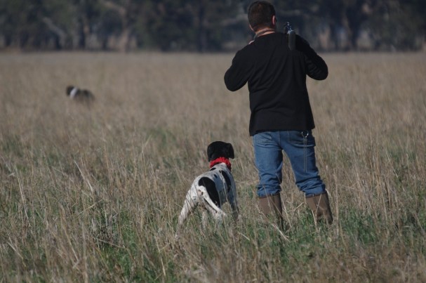 gscv fld trl 6 1605-2015