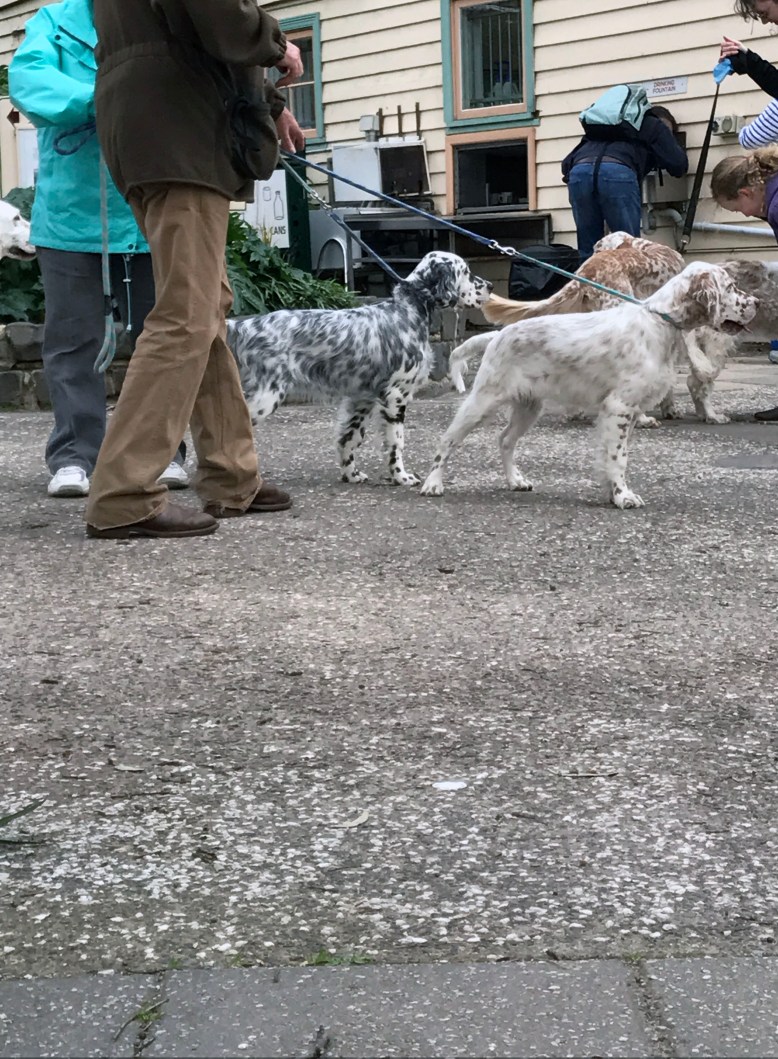 Photo 30-7-17, 12 10 23 pm.jpg crop photo