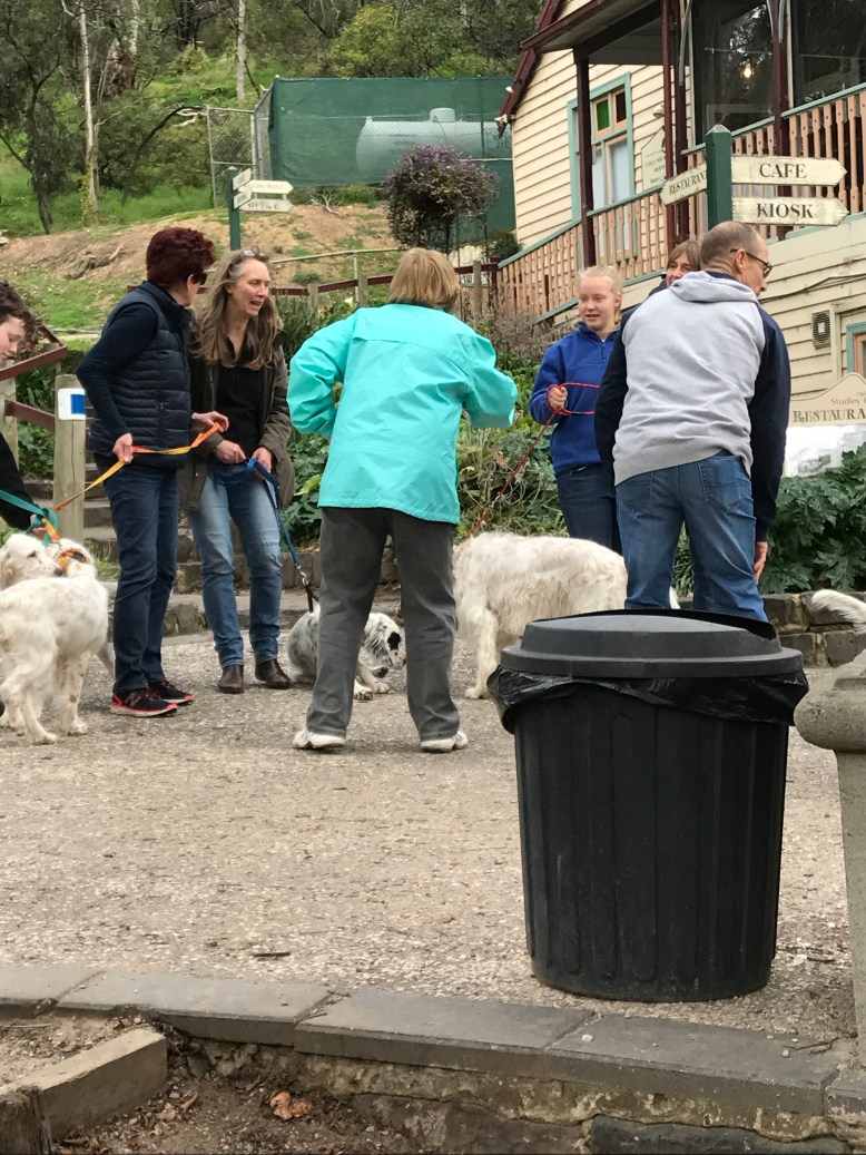 Photo 30-7-17, 12 10 33 pm