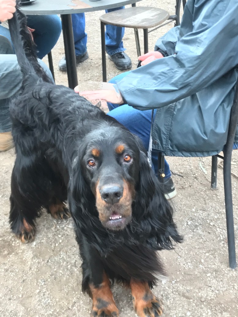 Photo 30-7-17, 12 10 44 pm (1)