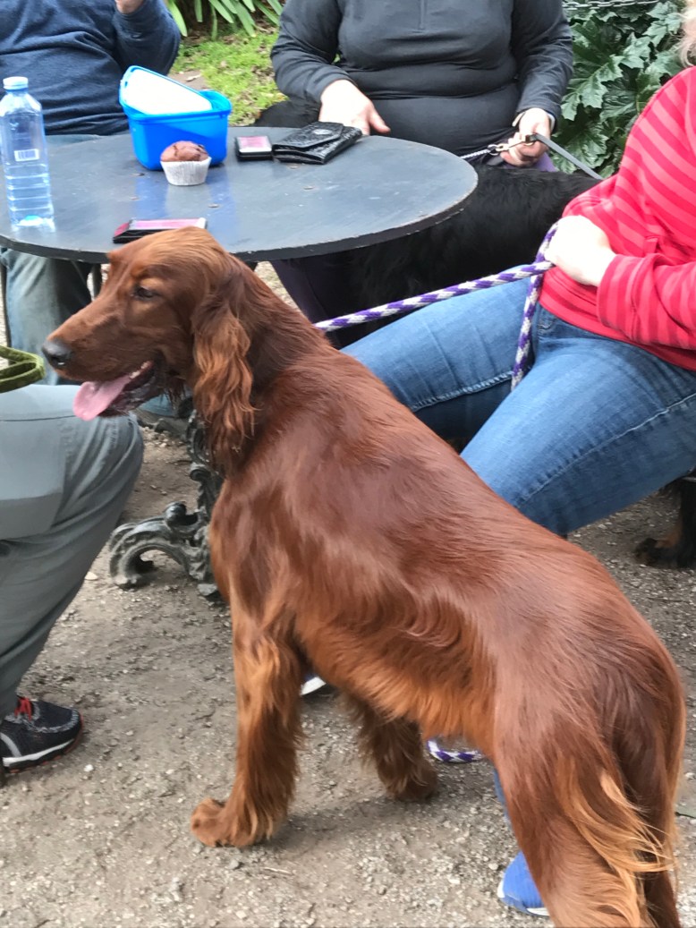 Photo 30-7-17, 12 11 01 pm