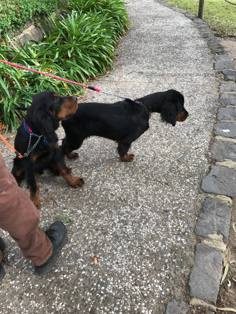 Photo 30-7-17, 12 12 30 pm