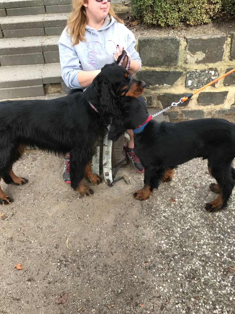 Photo 30-7-17, 12 12 37 pm