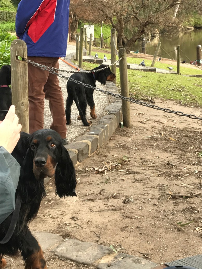 Photo 30-7-17, 12 25 25 pm