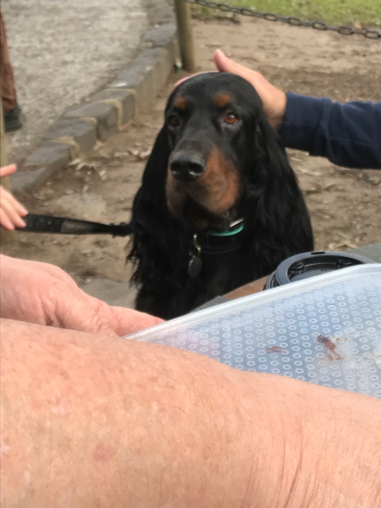 Photo 30-7-17, 12 25 44 pm