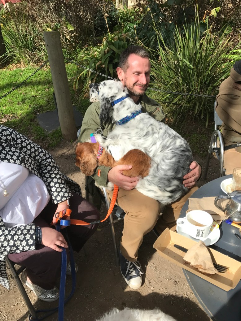 Photo 30-7-17, 12 51 05 pm