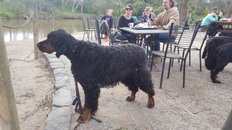 Photo 30-7-17, 2 43 34 pm