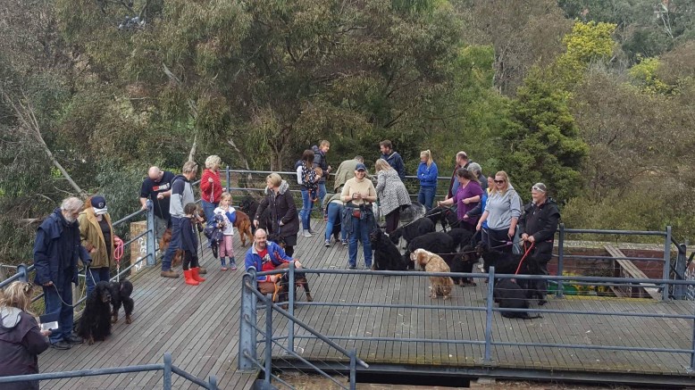 Photo 30-7-17, 2 43 53 pm