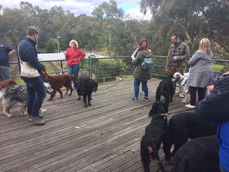 Photo 30-7-17, 2 44 20 pm