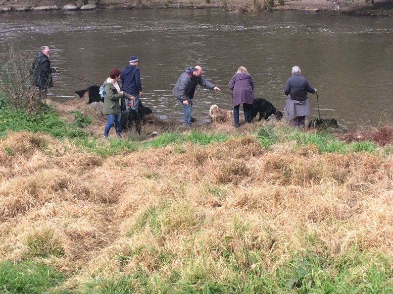 Photo 30-7-17, 2 44 24 pm