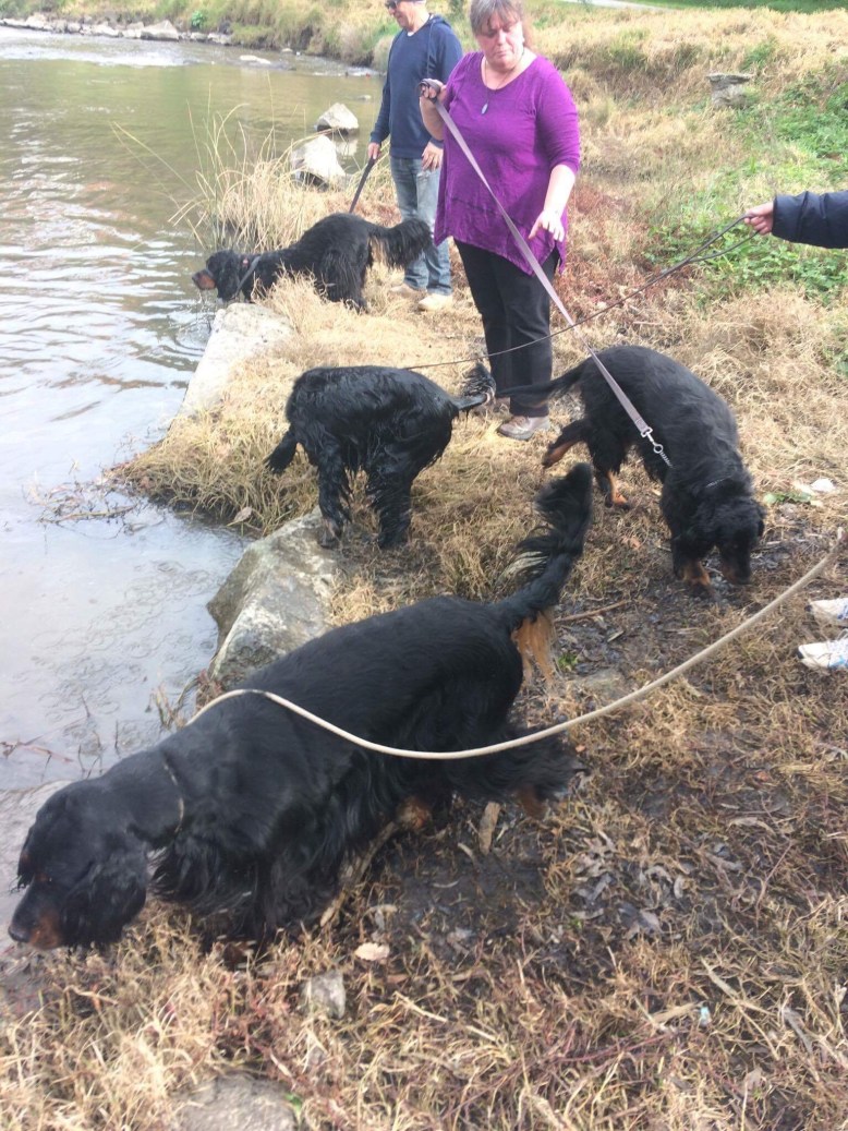 Photo 30-7-17, 2 44 30 pm