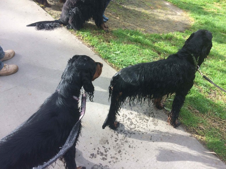 Photo 30-7-17, 2 44 35 pm