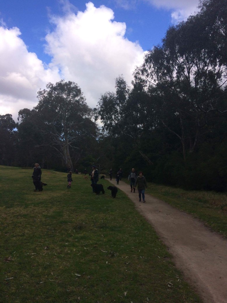 Photo 30-7-17, 2 44 39 pm