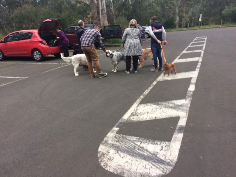 Photo 30-7-17, 2 44 43 pm