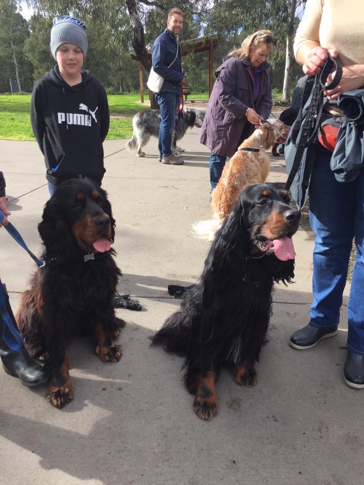 Photo 30-7-17, 4 47 09 pm