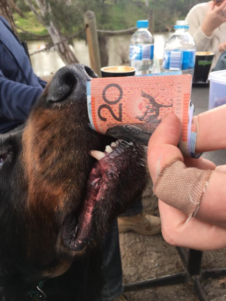 Photo 30-7-17, 4 47 29 pm (1)