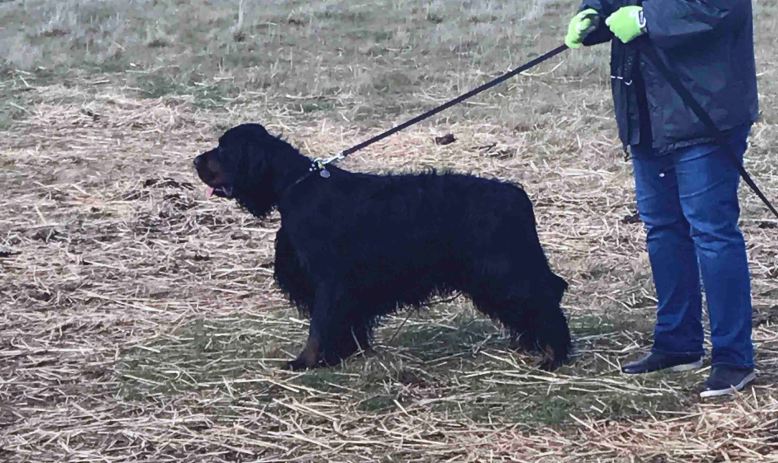 Photo 6-8-17, 1 03 49 pm