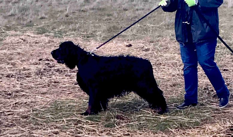 Photo 6-8-17, 1 03 51 pm