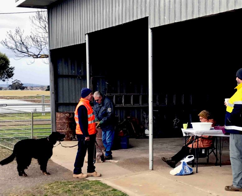 Photo 6-8-17, 10 37 42 am