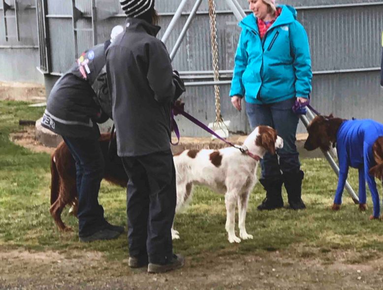 Photo 6-8-17, 10 44 20 am