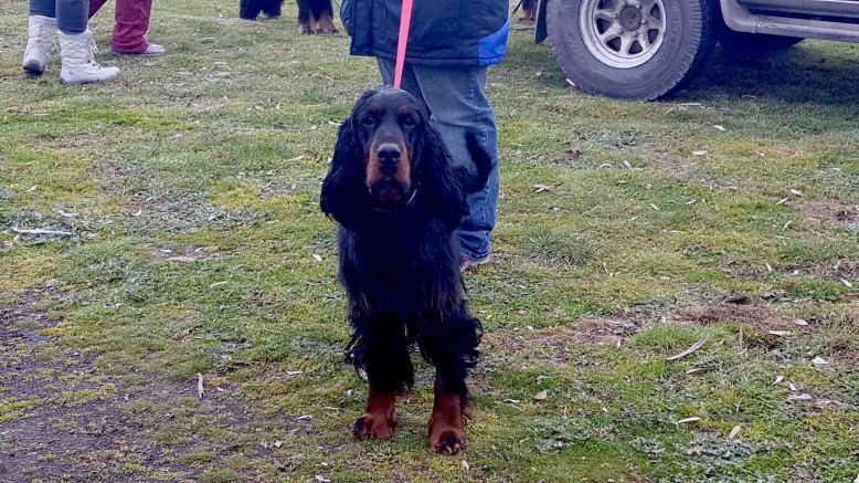 Photo 7-8-17, 7 45 51 pm