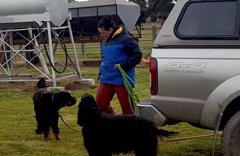 Photo 7-8-17, 7 46 20 pm