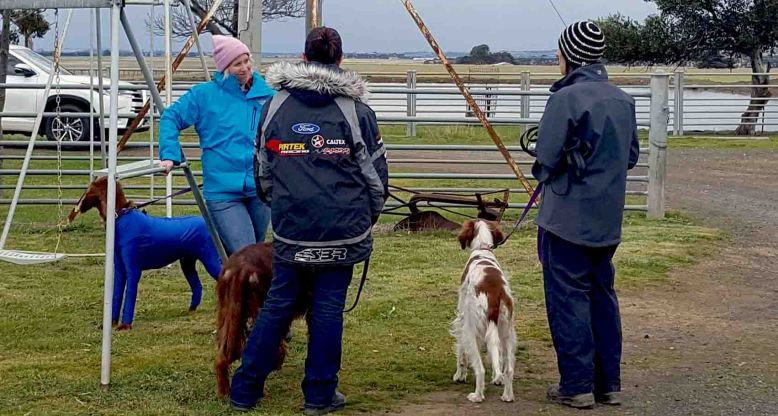 Photo 7-8-17, 7 46 28 pm