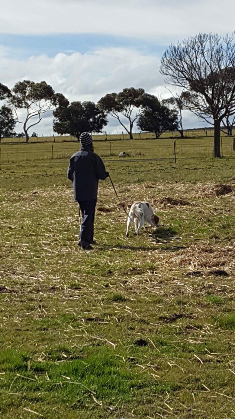 Photo 7-8-17, 7 48 11 pm