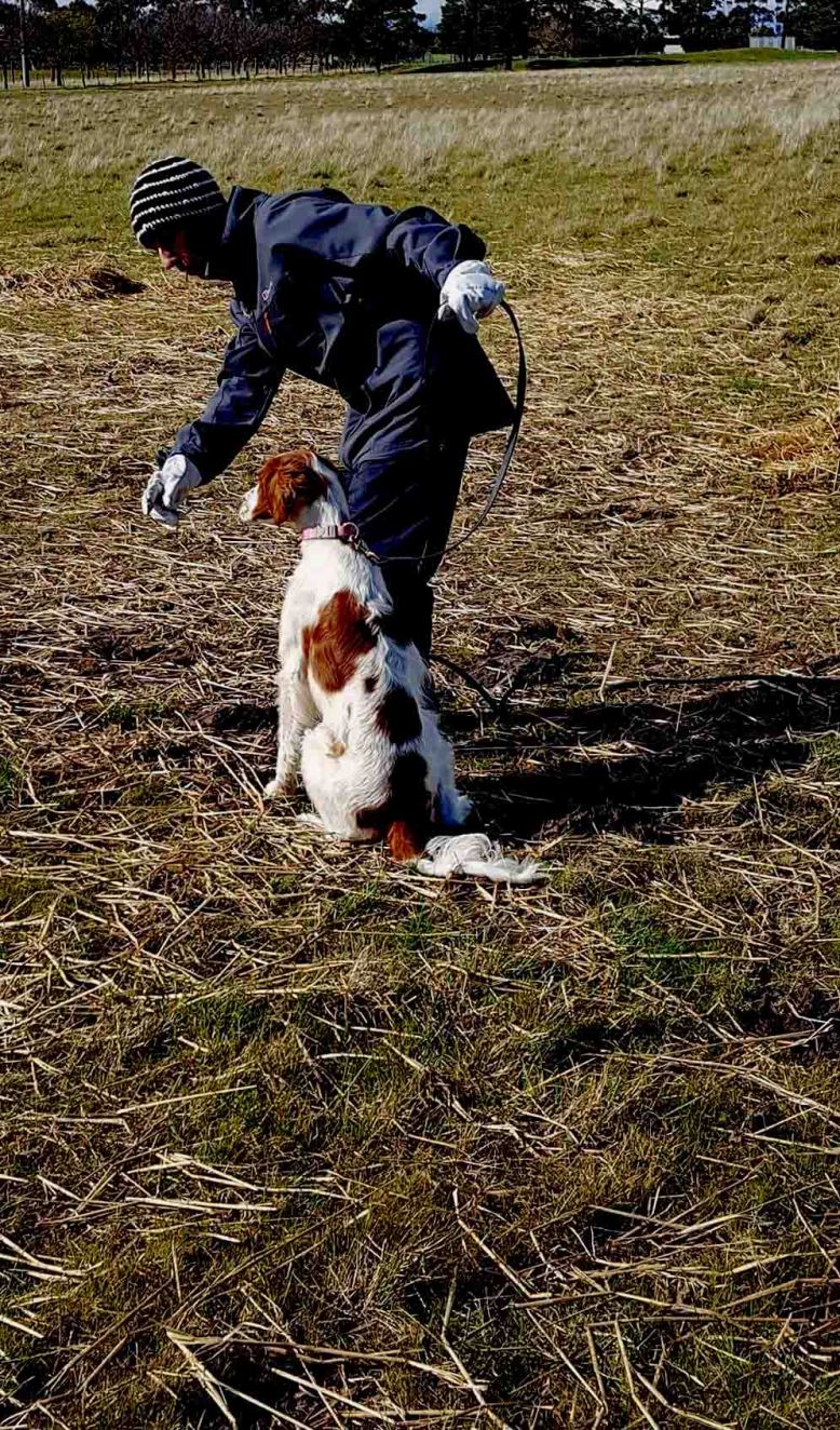 Photo 7-8-17, 7 48 48 pm