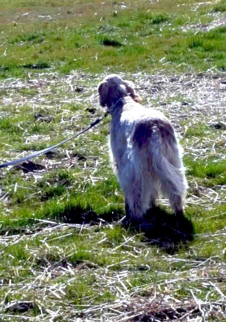 Photo 7-8-17, 7 49 04 pm