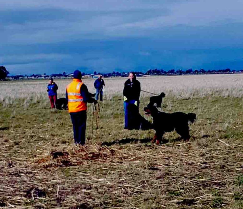 Photo 7-8-17, 7 49 10 pm