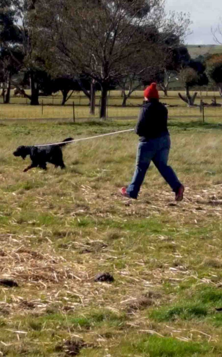 Photo 7-8-17, 7 49 34 pm