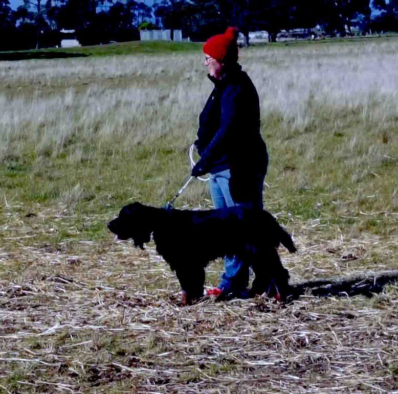 Photo 7-8-17, 7 49 41 pm