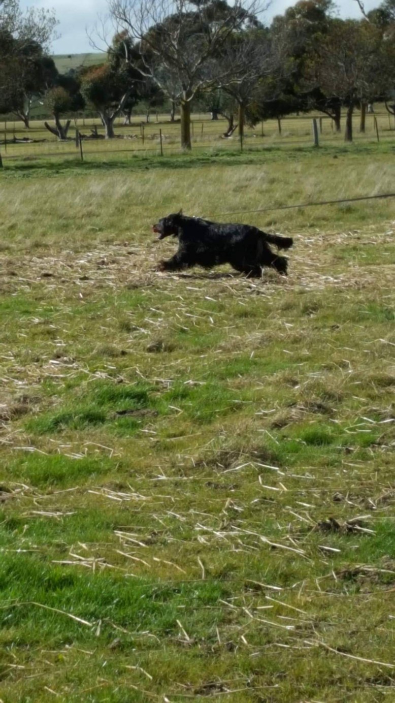 Photo 7-8-17, 7 49 52 pm