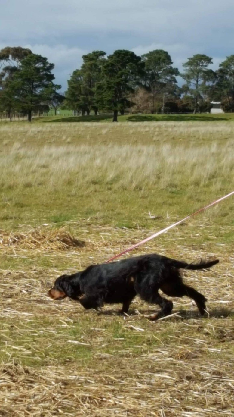 Photo 7-8-17, 7 50 01 pm