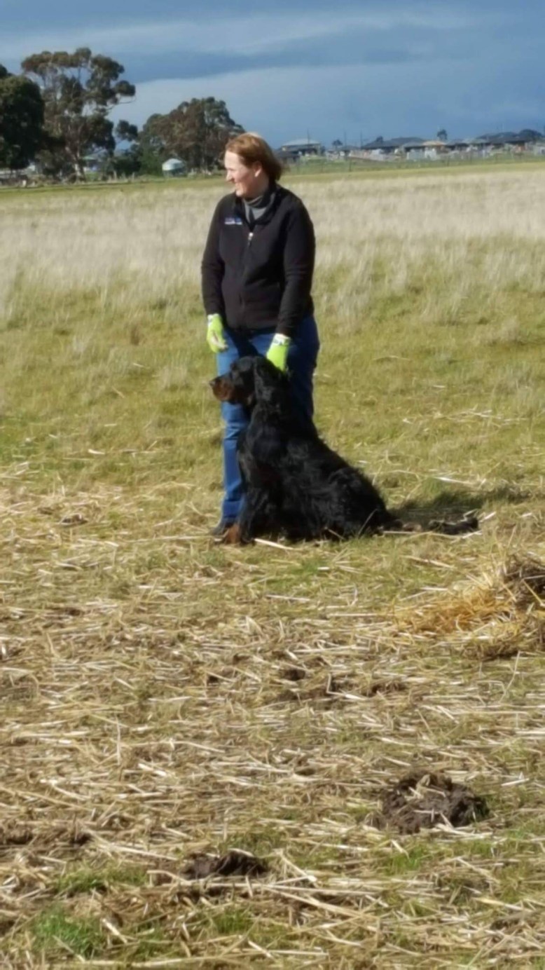 Photo 7-8-17, 7 50 13 pm