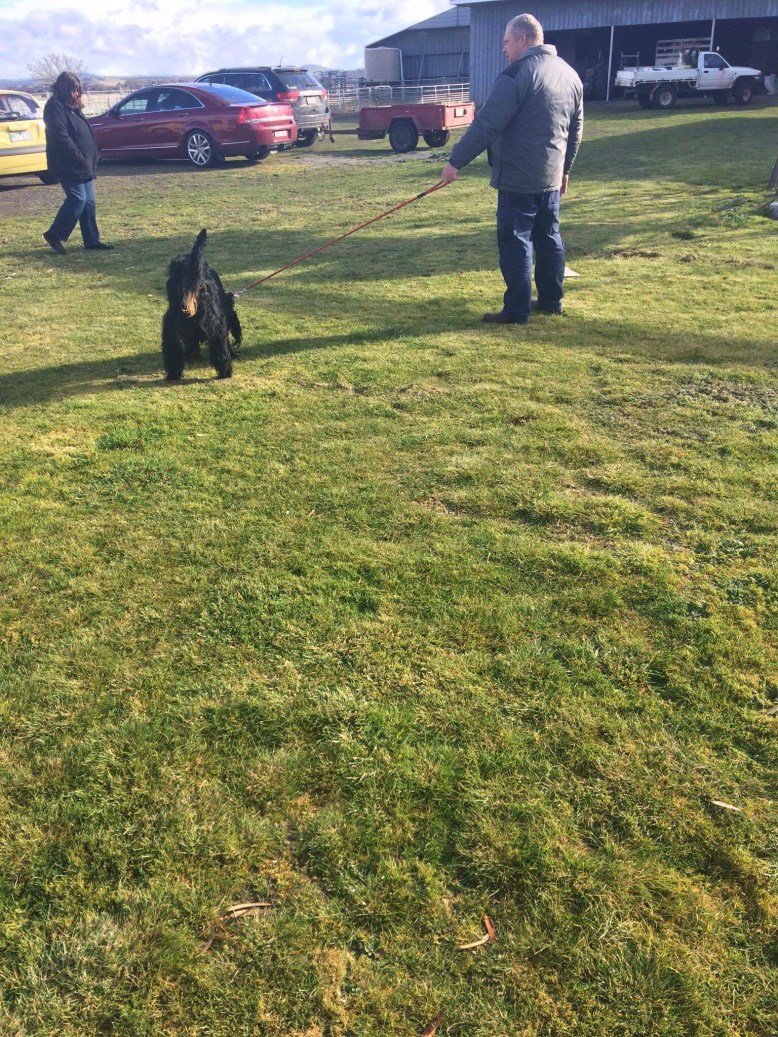 Photo 9-8-17, 8 51 00 am