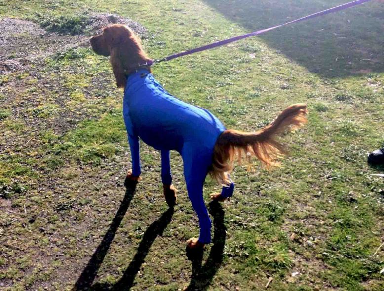 Photo 9-8-17, 8 51 05 am