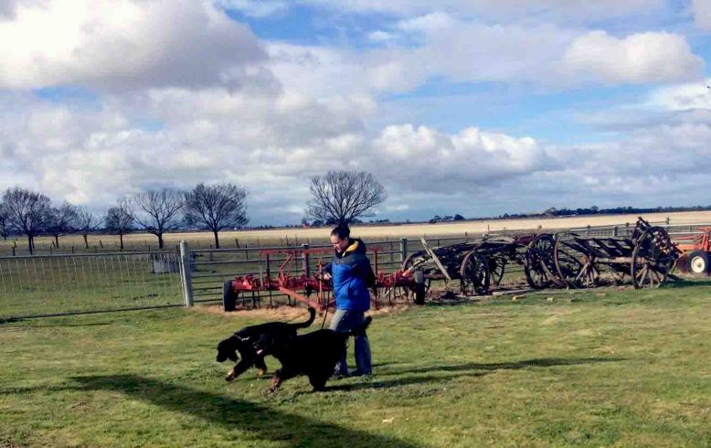 Photo 9-8-17, 8 51 10 am