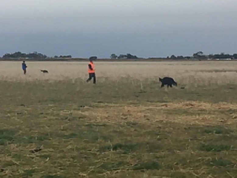 Photo 9-8-17, 8 51 15 am