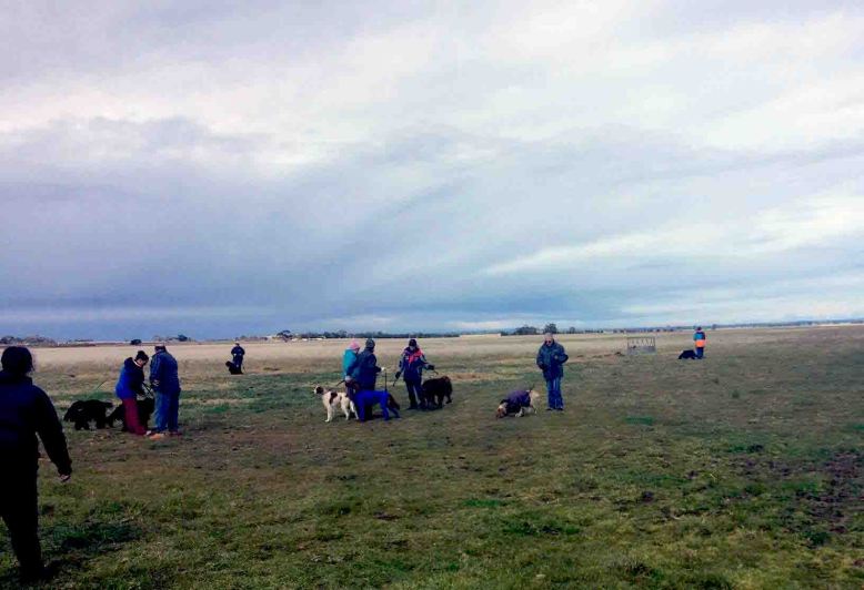 Photo 9-8-17, 8 51 25 am