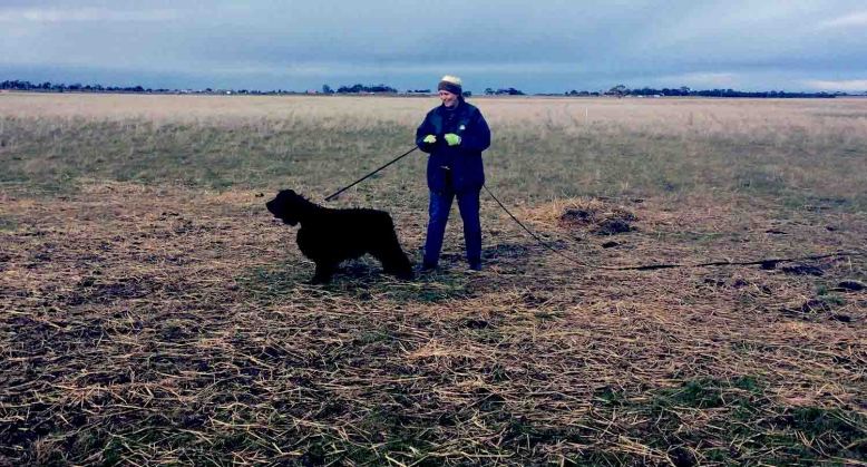 Photo 9-8-17, 8 51 35 am